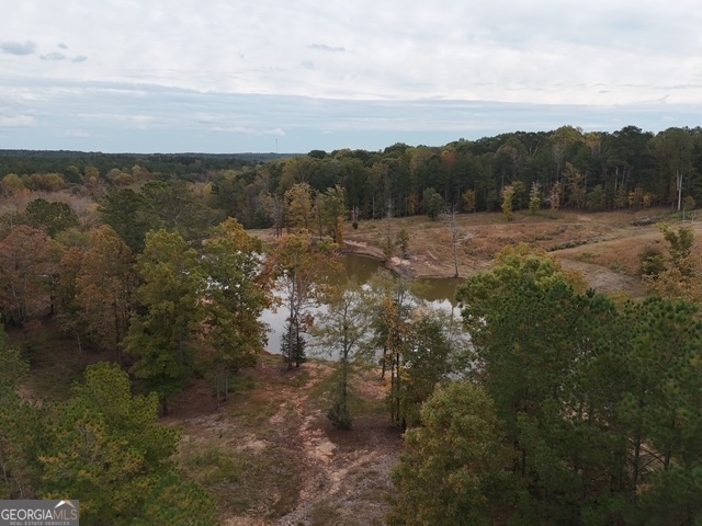 0 Washington Road Lexington, GA 30648 - Photo 5 of 10