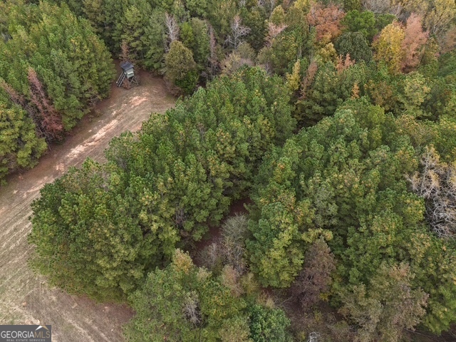 0 Washington Road Lexington, GA 30648 - Photo 8 of 10