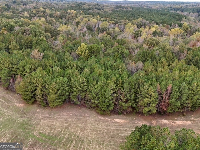 0 Washington Road Lexington, GA 30648 - Photo 9 of 10