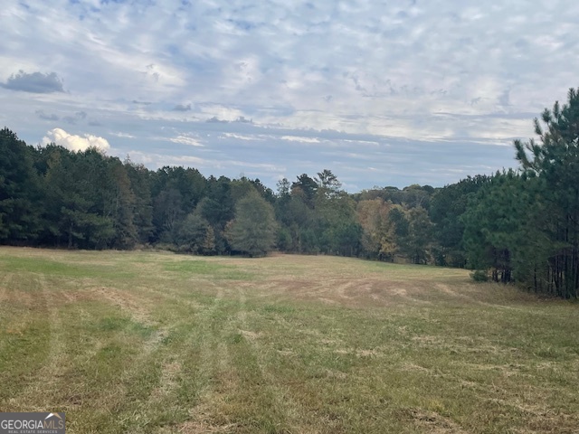 0 Washington Road Lexington, GA 30648 - Photo 10 of 10