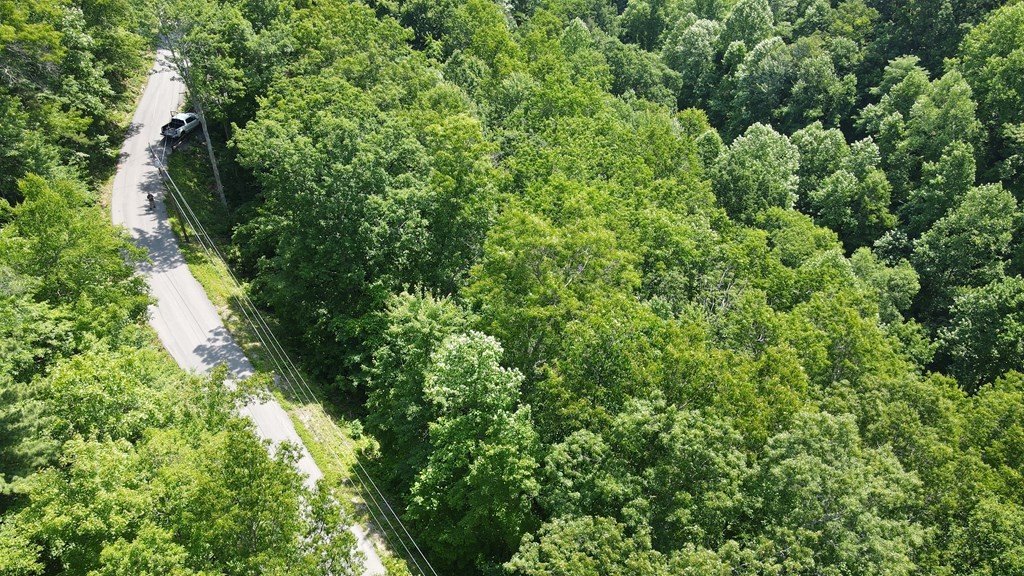 0 Lower Alpine Way Gatlinburg, TN 37738 - Photo 5 of 7