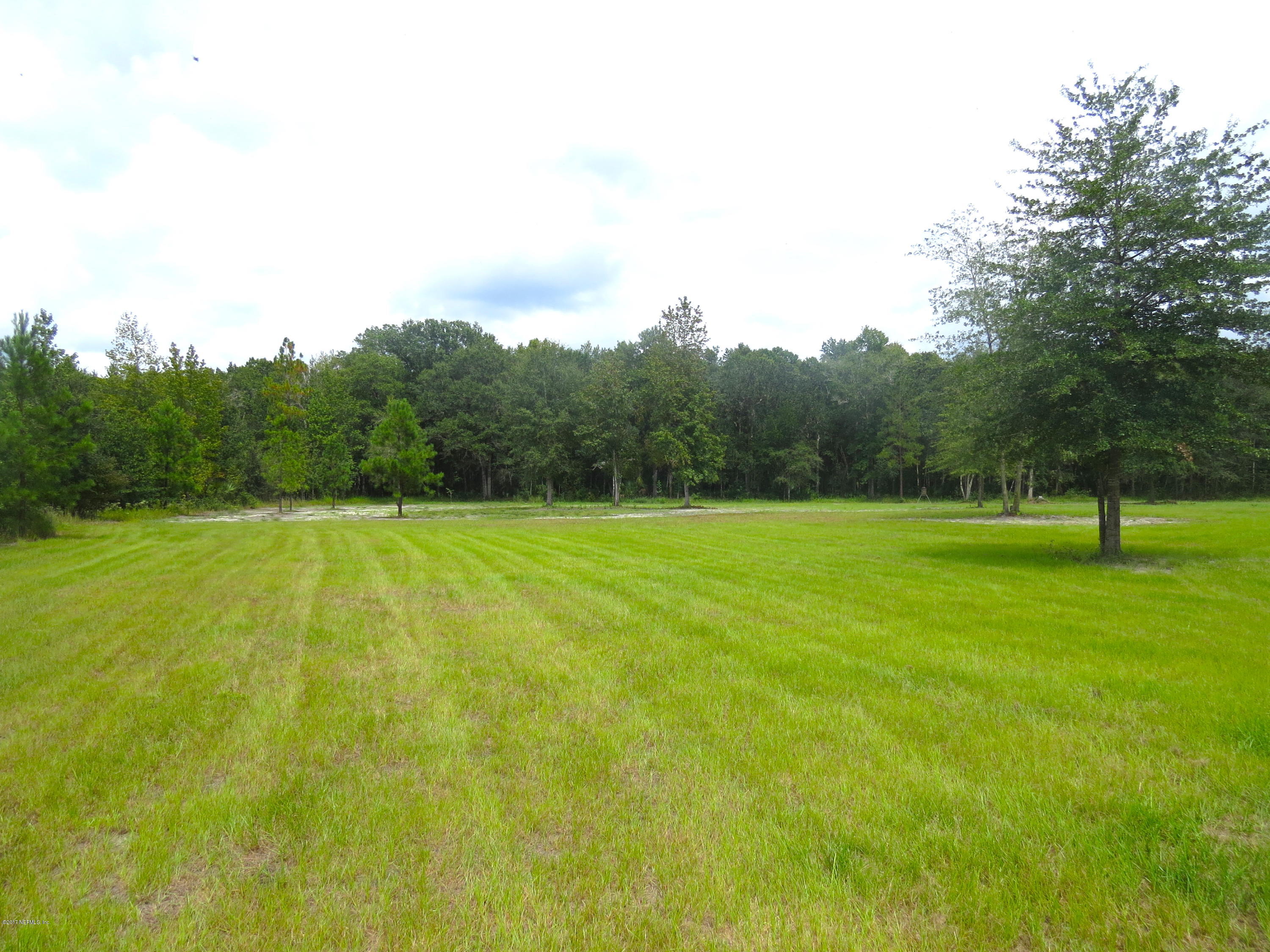 55051 Countree Life Way Hilliard, FL 32046 - Photo 3 of 22 backyard