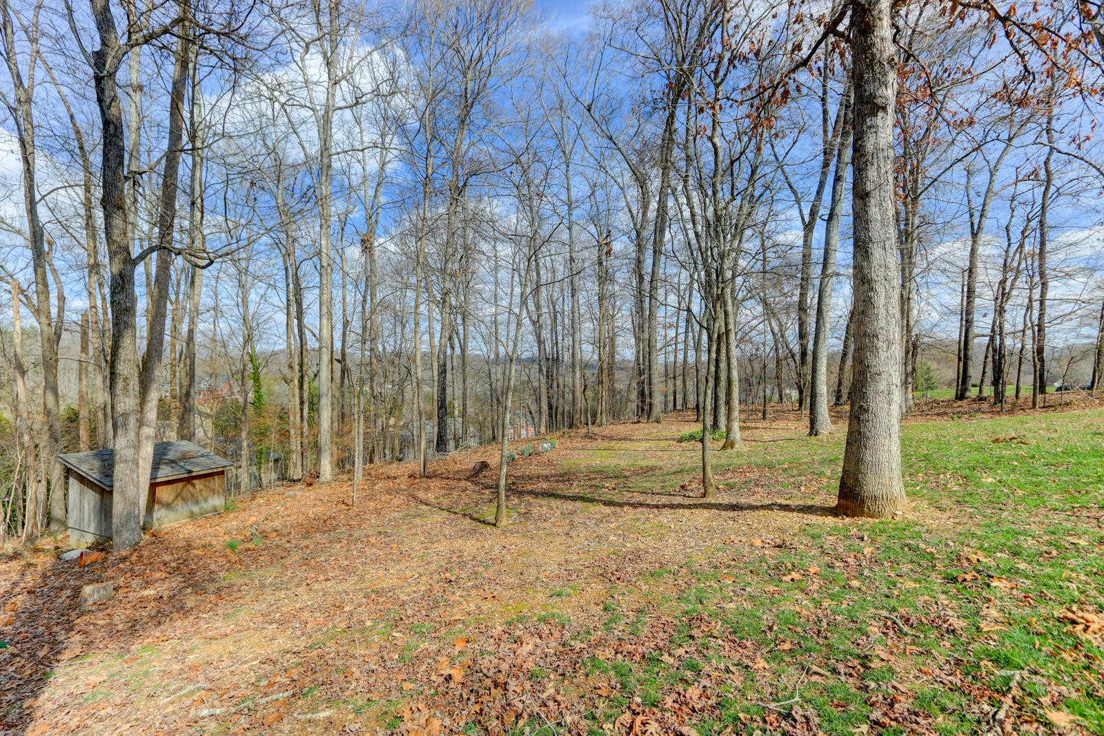 15 Raintree Place Oak Ridge, TN 37830 - Photo 38 of 39 Gallery Image 38