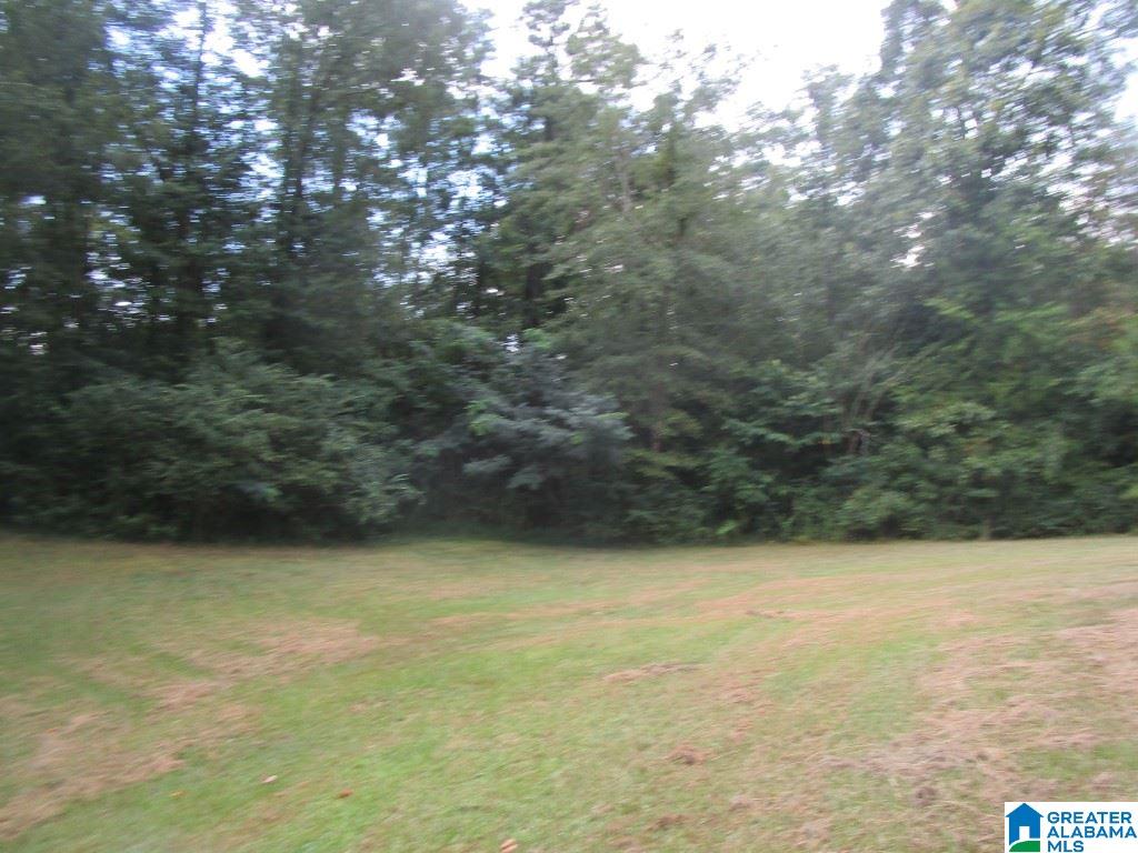 9480 Shoal Creek Road Ashville, AL 35953 - Photo 18 of 19