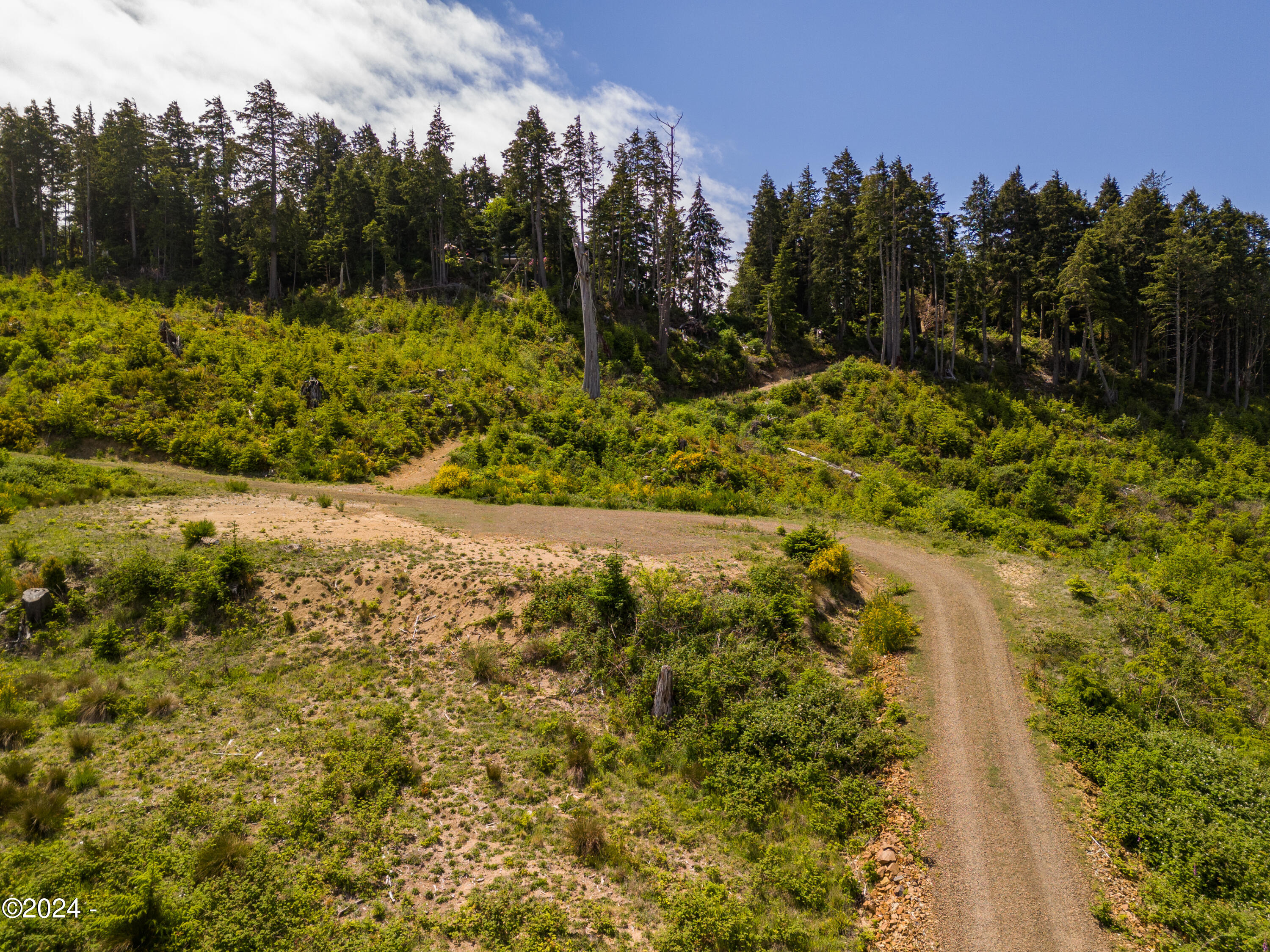 1200 South Immonen Road Gleneden Beach, OR 97388 - Photo 12 of 13 DJI_20240529143211_0047_D-Edit
