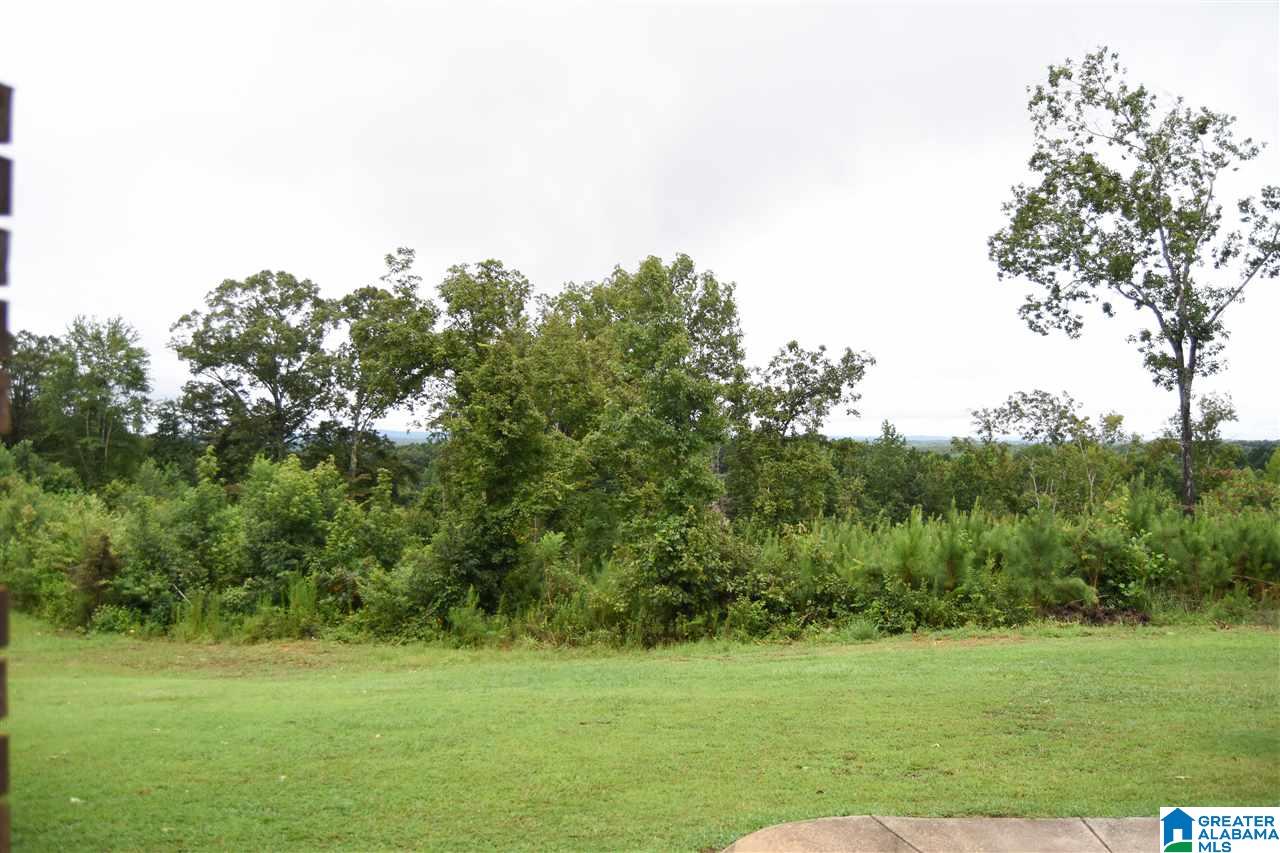 313 County Road 437 Heflin, AL 36264 - Photo 48 of 49