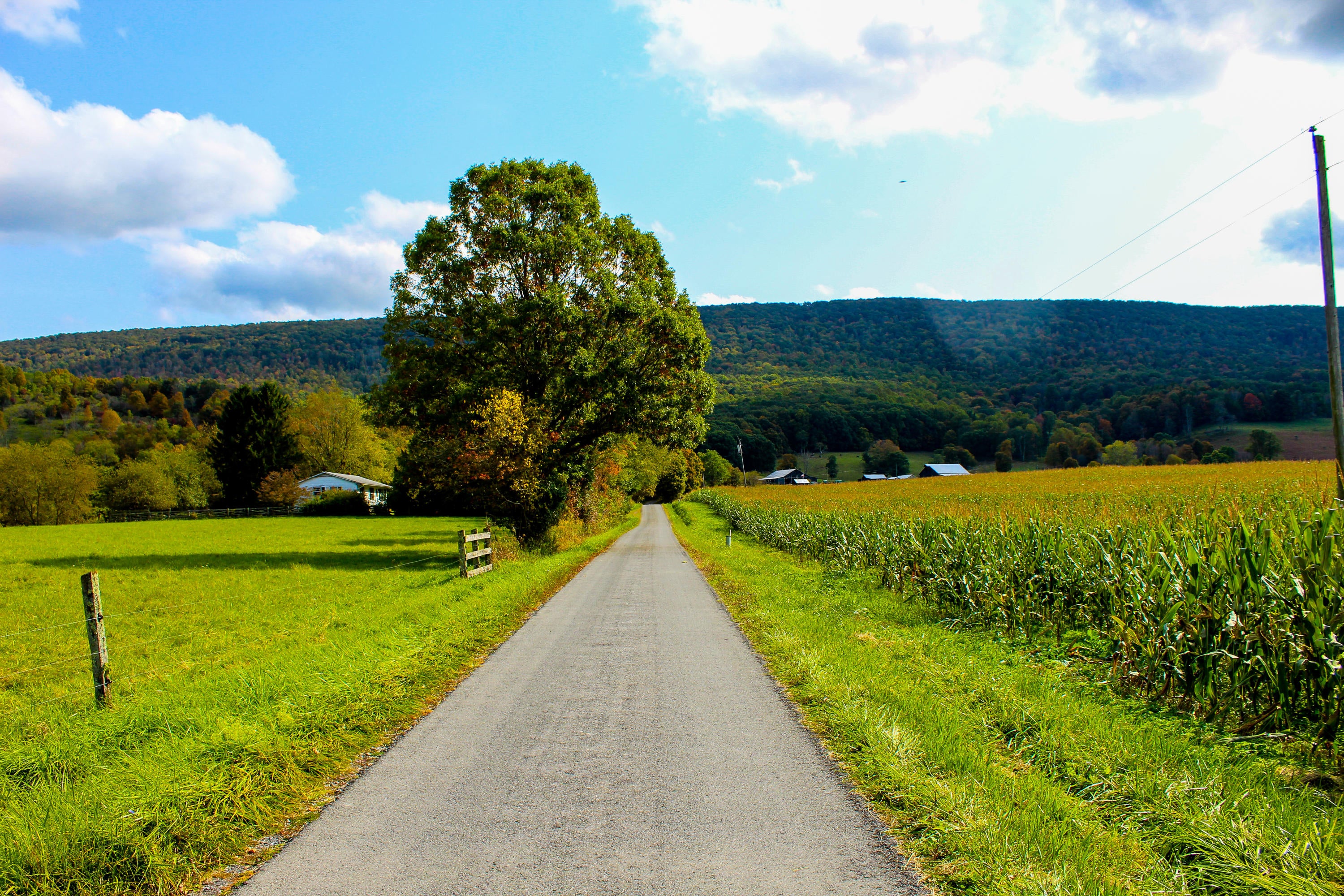 Ridge Line Road Gap Mills, WV 24941 - Photo 3 of 26 Gallery Image 3
