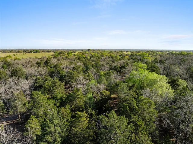 a view of a lake with a mountain