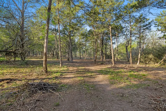 a view of outdoor space with trees