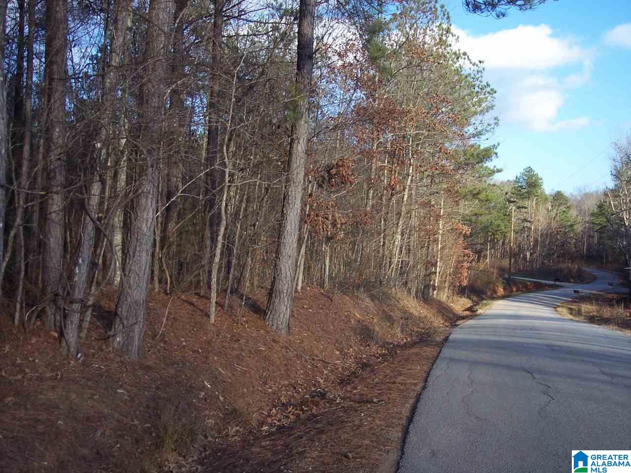 4 Dripping Rock Road, Unit 4 Piedmont, AL 36272 - Photo 3 of 12
