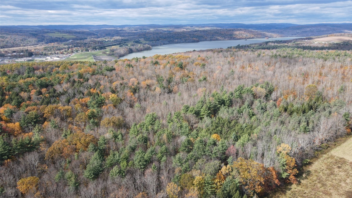 5206 State Rte 26 Whitney Point, NY 13862 - Photo 11 of 47