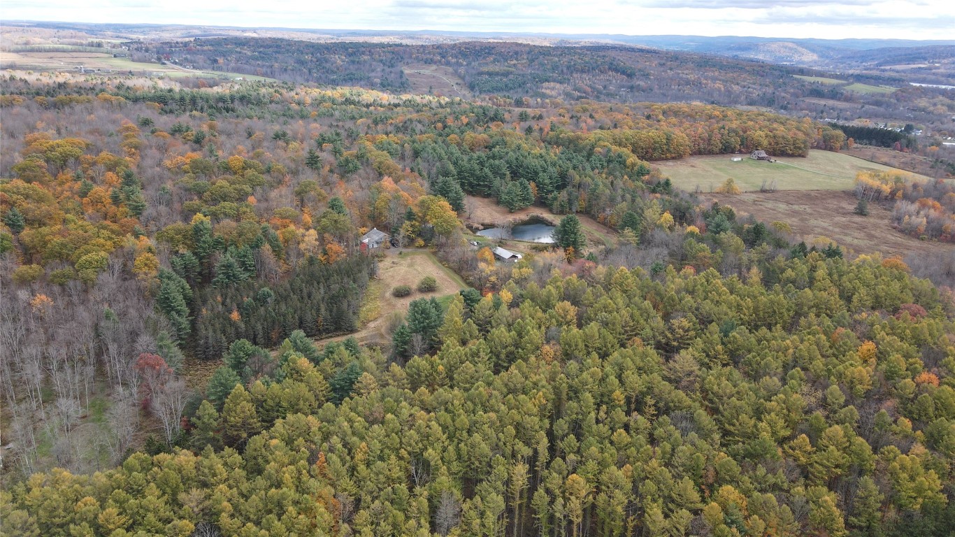 5206 State Rte 26 Whitney Point, NY 13862 - Photo 14 of 47