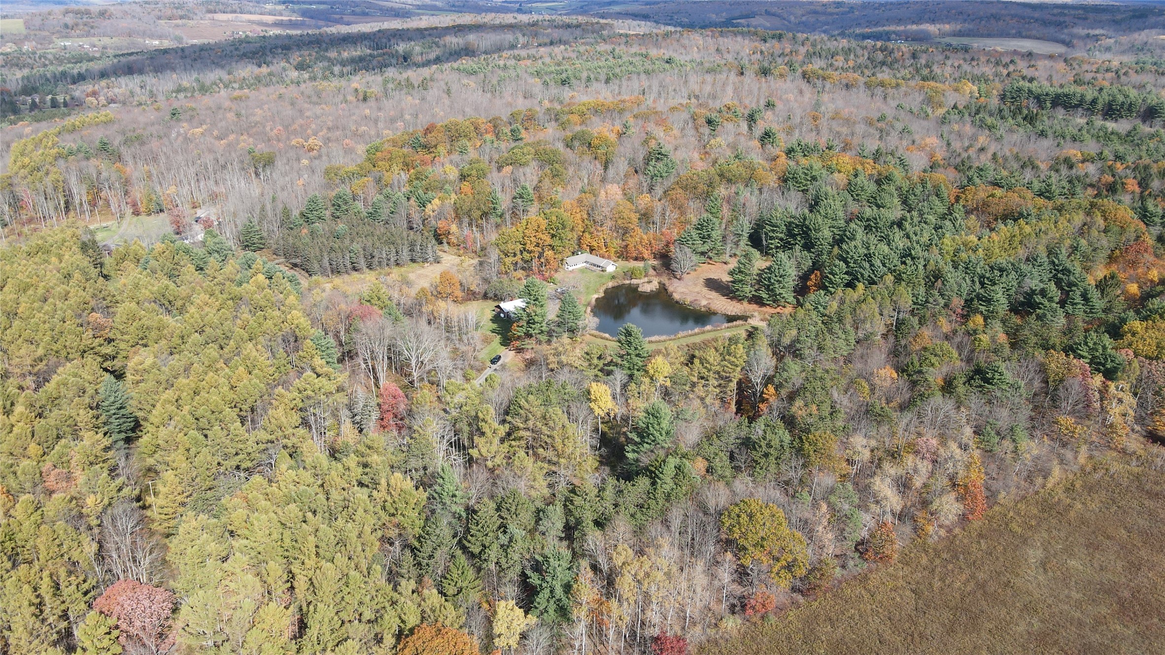 5206 State Rte 26 Whitney Point, NY 13862 - Photo 8 of 47 Gallery Image 8