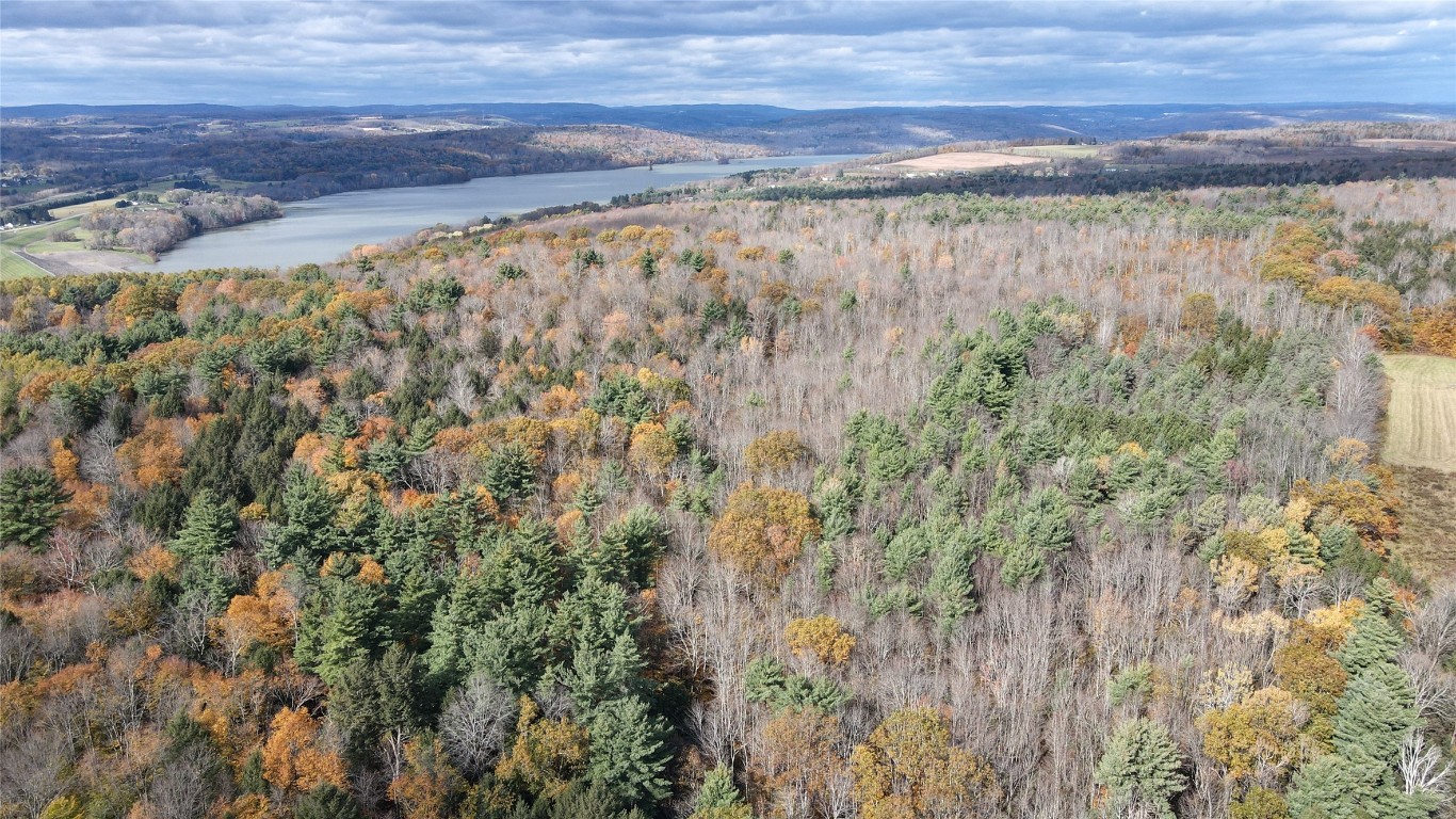 5206 State Rte 26 Whitney Point, NY 13862 - Photo 10 of 47