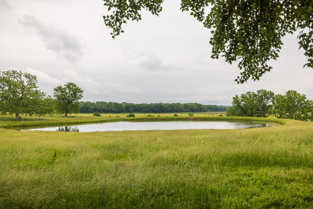 1637 Southwest County Road 1067 Butler, MO 64730 - Photo 37 of 92