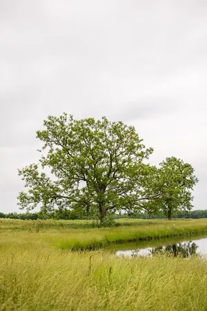 $575,000 | 1637 Southwest County Road 1067, Butler, MO 64730