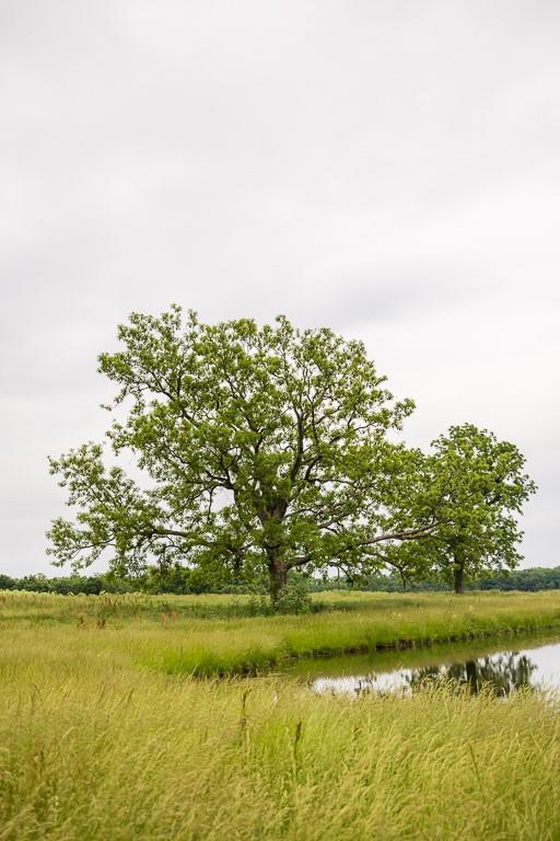 1637 Southwest County Road 1067 Butler, MO 64730 - Photo 39 of 92
