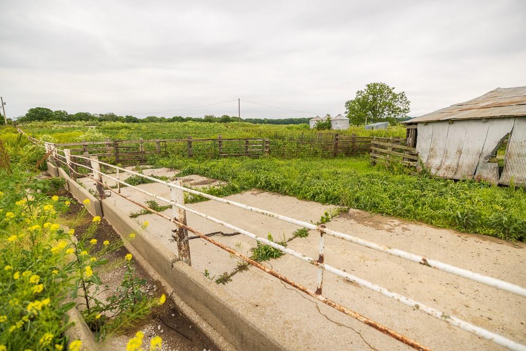 1637 Southwest County Road 1067 Butler, MO 64730 - Photo 44 of 92