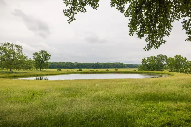 $789,000 | 1637 Southwest County Road 1067, Butler, MO 64730