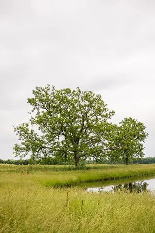 $789,000 | 1637 Southwest County Road 1067, Butler, MO 64730