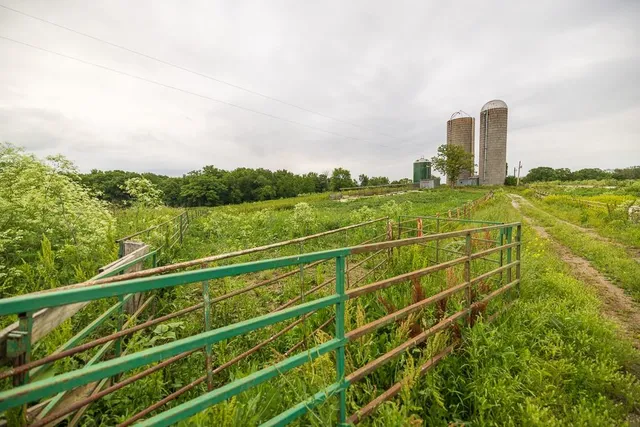 $789,000 | 1637 Southwest County Road 1067, Butler, MO 64730