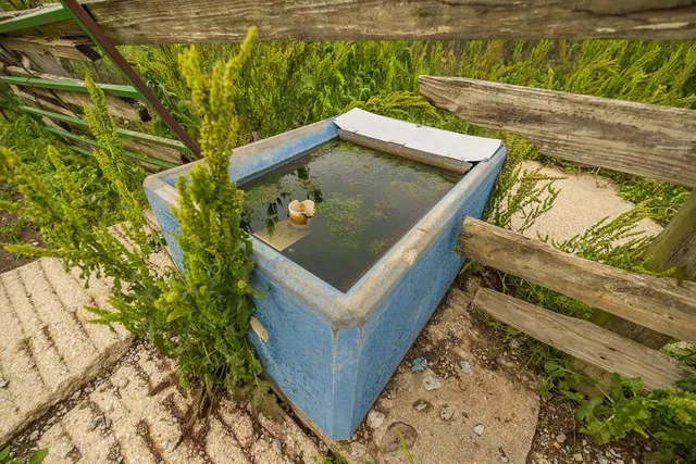 $789,000 | 1637 Southwest County Road 1067, Butler, MO 64730