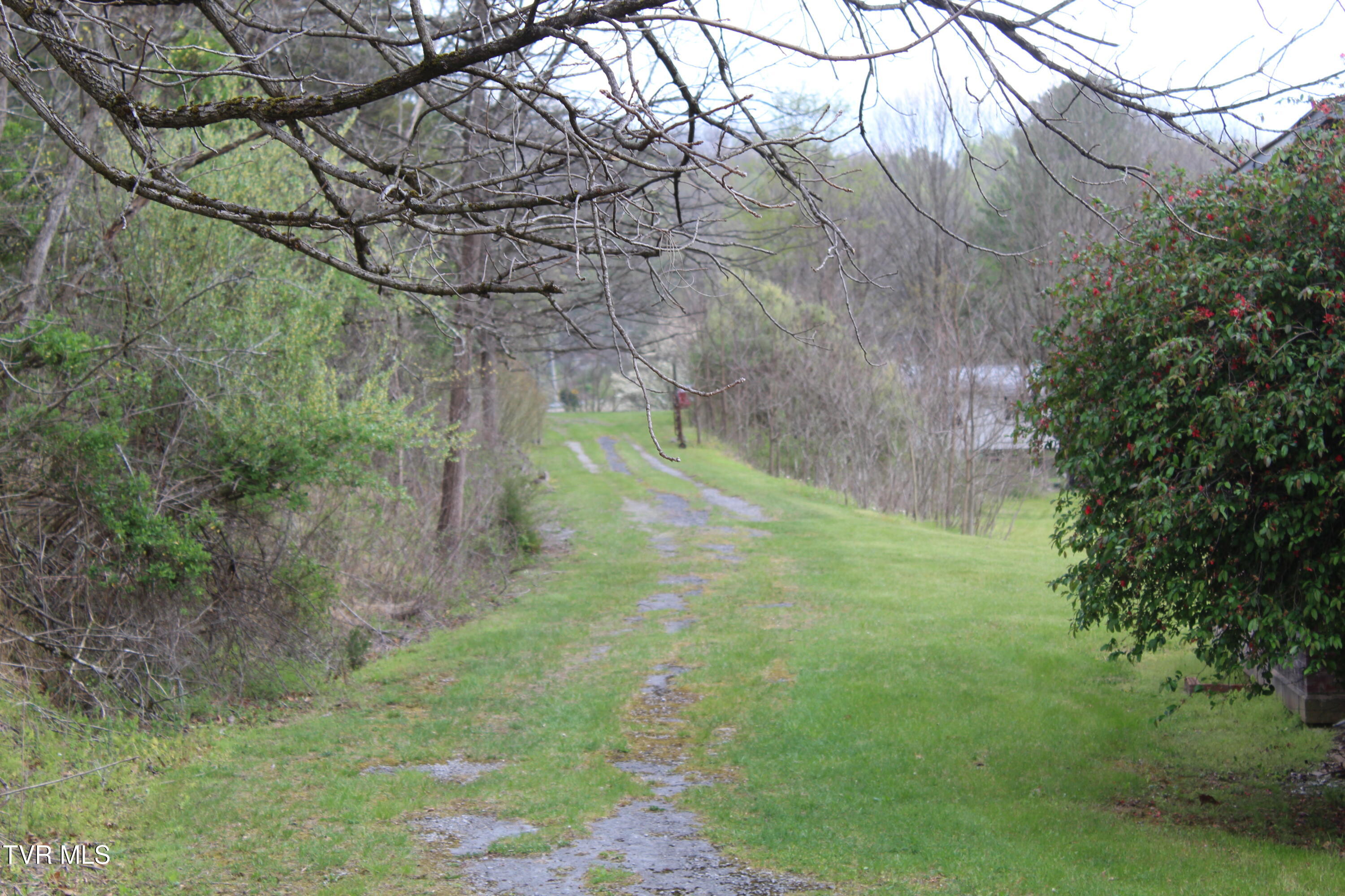 4598-4550 Reeds Creek Road, Unit 9 & 10 Keokee, VA 24265 - Photo 2 of 39 IMG_6672