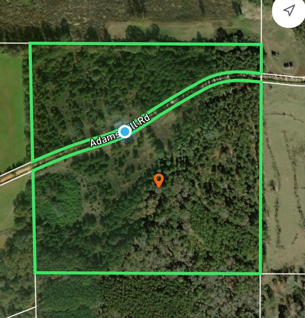 250 Adams Mill Road Clayton, AL 36016 - Photo 1 of 74