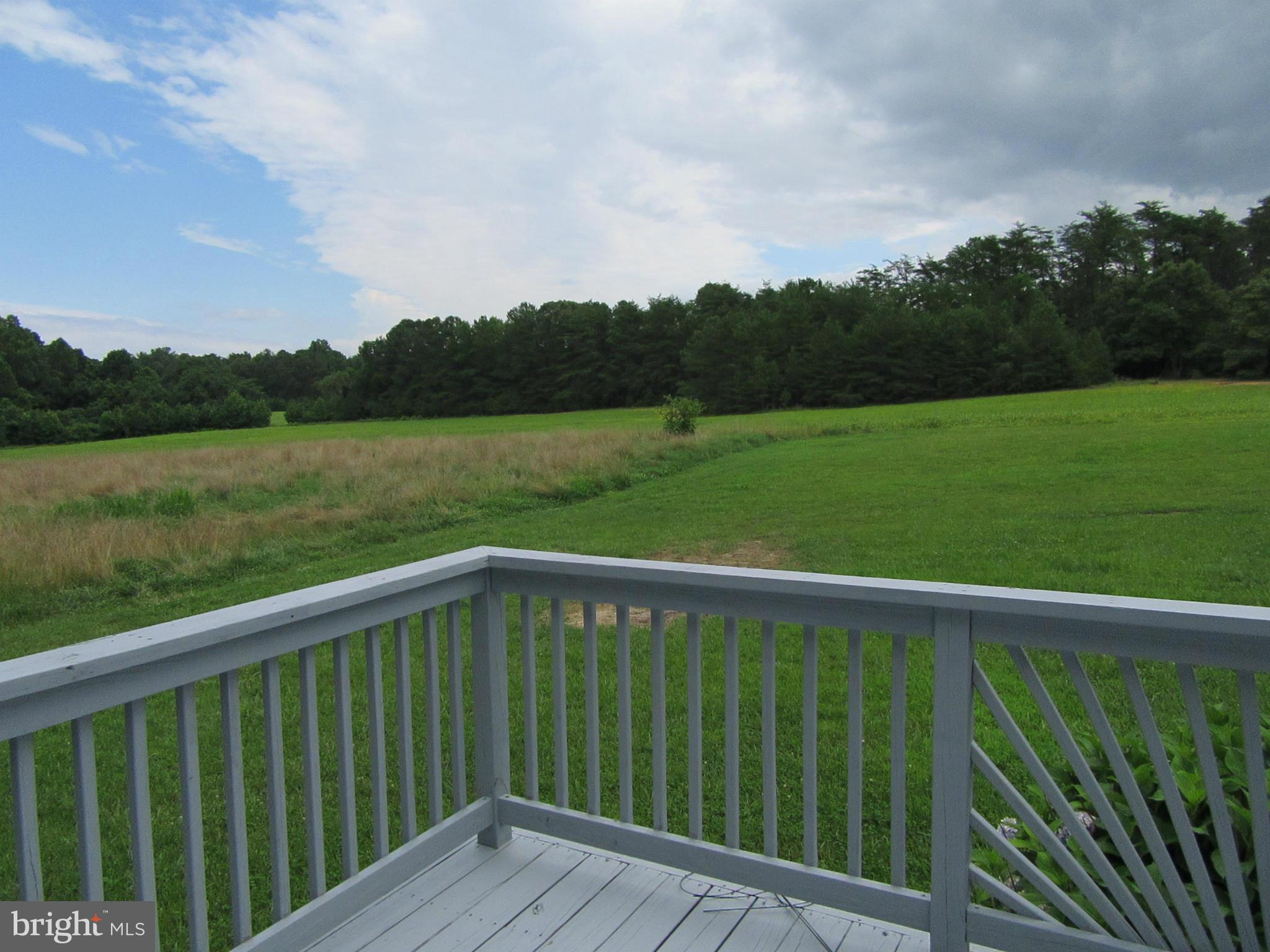 42440 St Johns Road Hollywood, MD 20636 - Photo 19 of 22 View from Deck