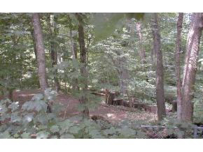 1246 South College Mall Road Bloomington, IN 47401 - Photo 2 of 6