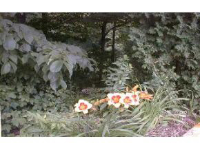 1246 South College Mall Road Bloomington, IN 47401 - Photo 4 of 6