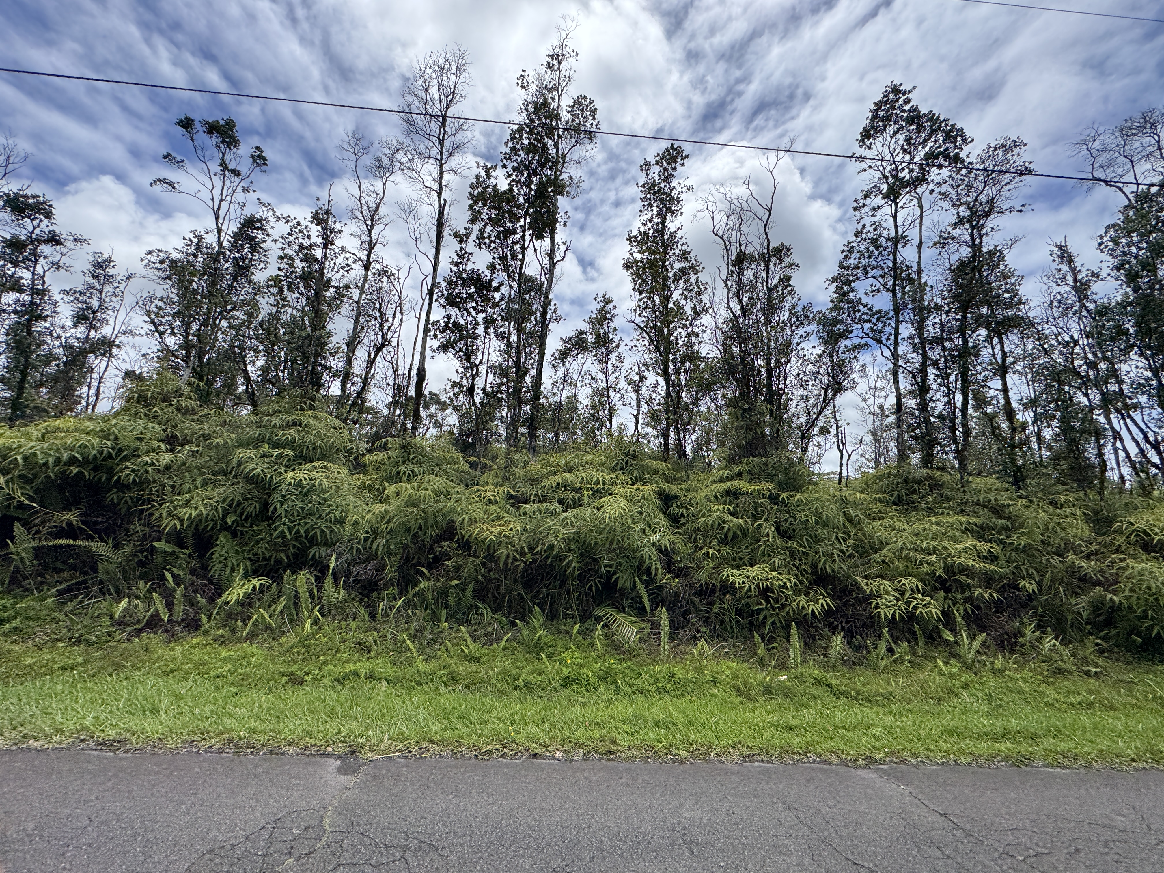 Kapuna Road Pahoa, HI 96778 - Photo 2 of 3 Gallery Image 2
