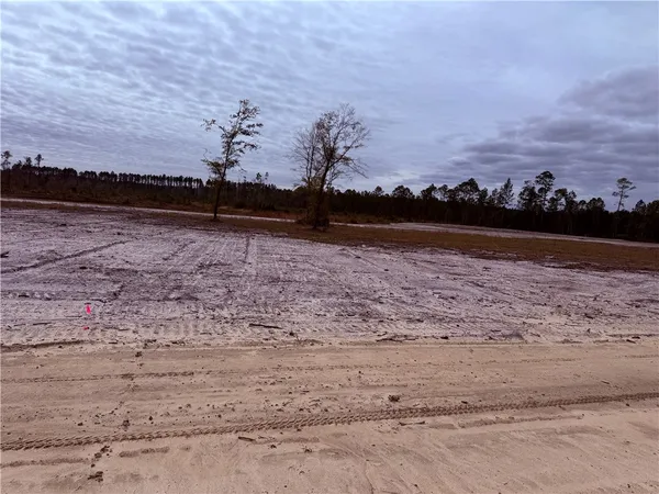 $22,500 | Lot 13 Wiregrass Lane, Unit 13, Waycross, GA 31503
