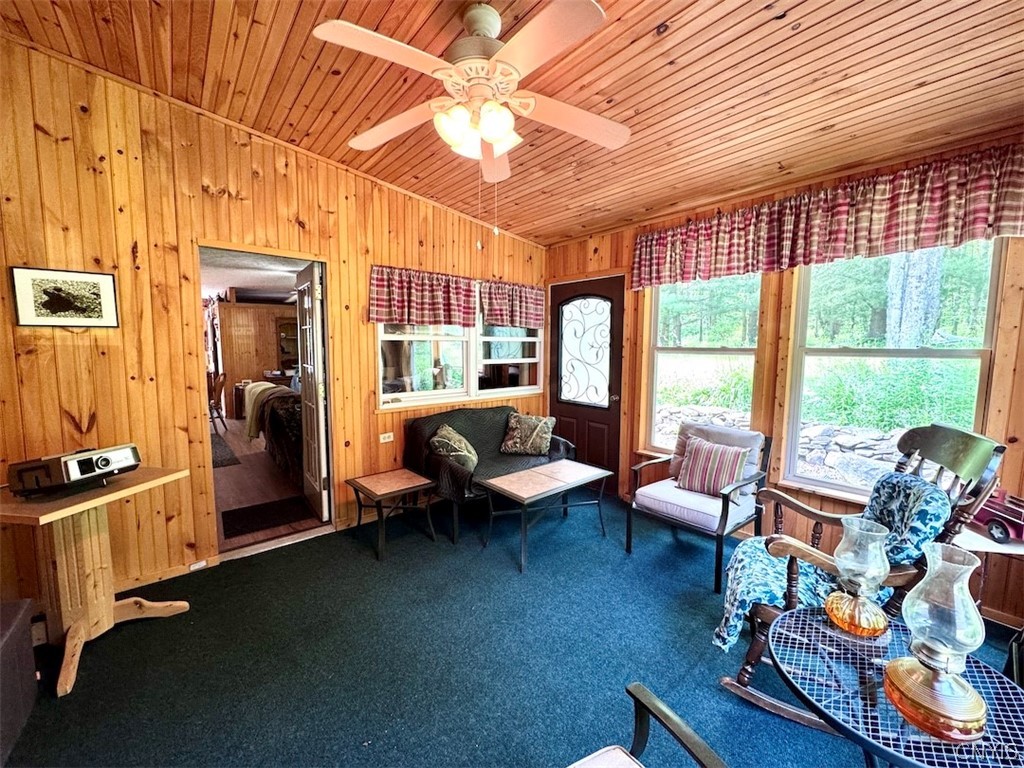 6227 Fritz Road Belfast, NY 14739 - Photo 23 of 50