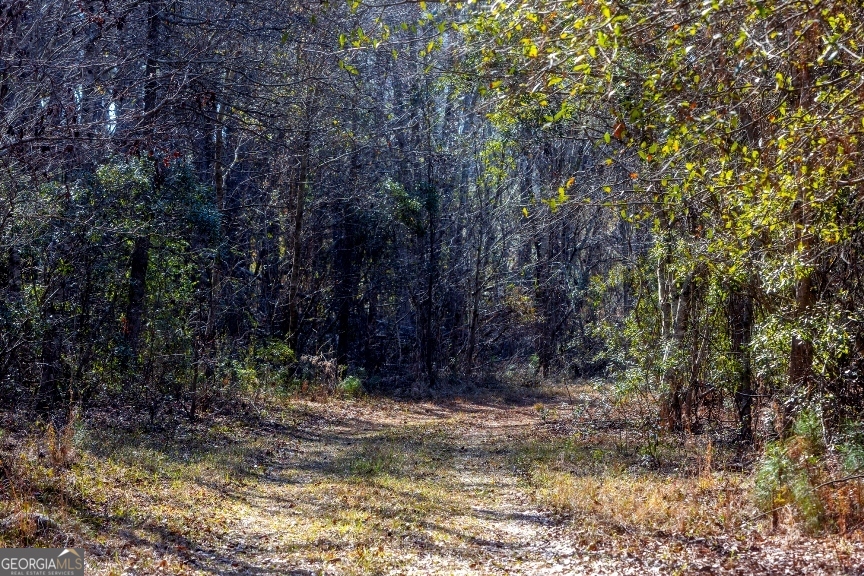 0 Crooked Road, Unit TRACT 1 Millen, GA 30442 - Photo 18 of 33