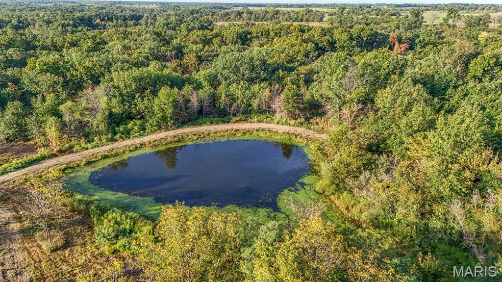 23 Hopkins Road Perry, MO 63462 - Photo 23 of 33