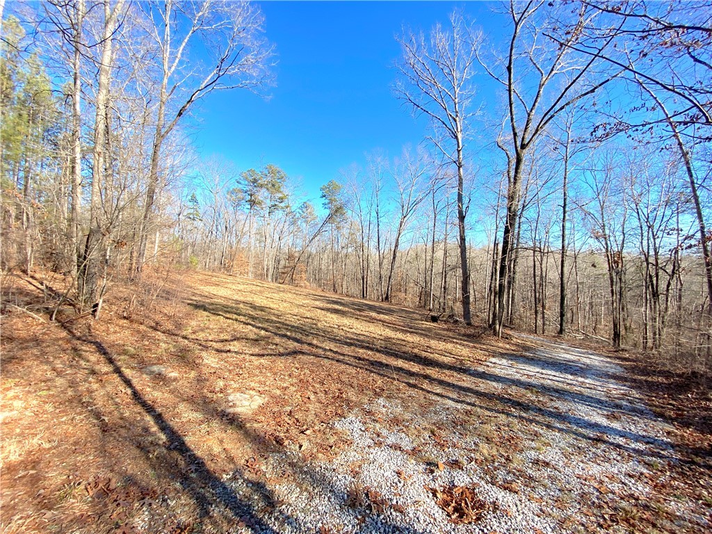 559 Jenkins Bridge Road Westminster, SC 29693 - Photo 1 of 24 Gallery Image 1