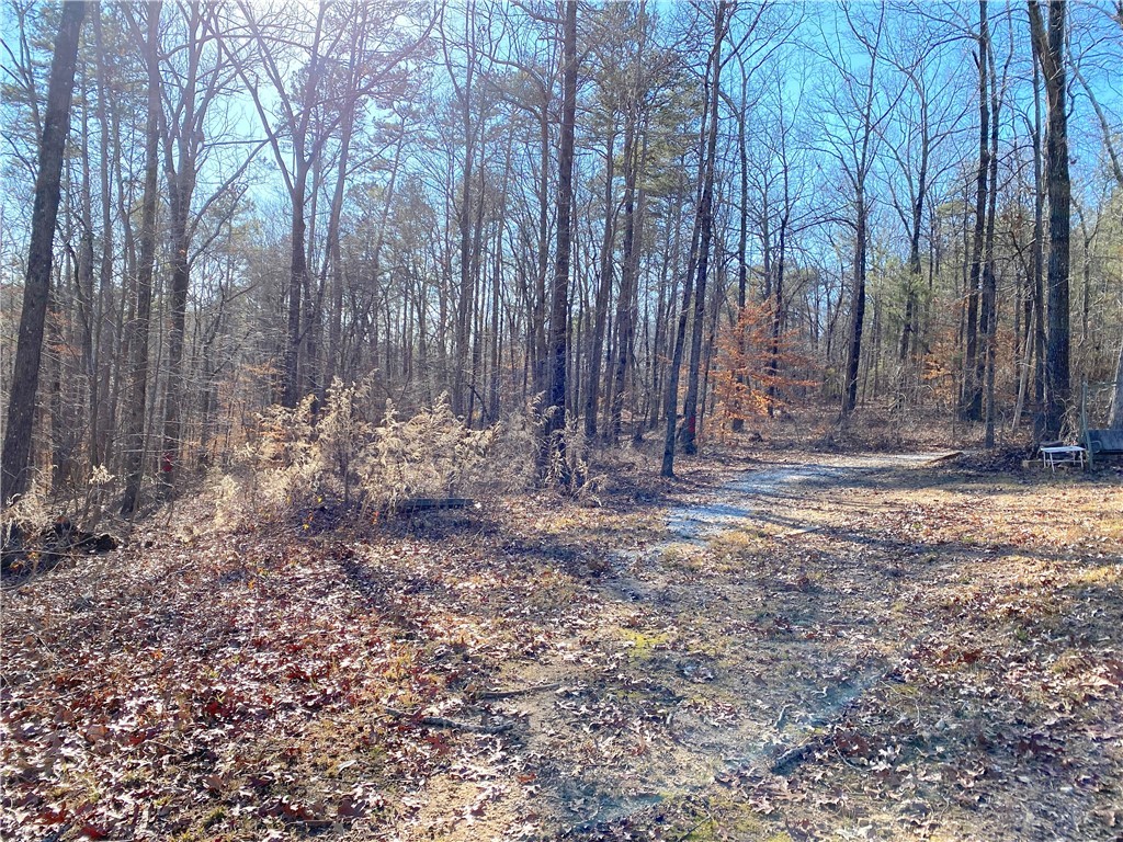 559 Jenkins Bridge Road Westminster, SC 29693 - Photo 20 of 24 Gallery Image 20