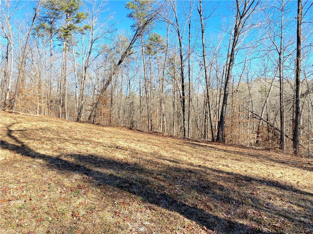 559 Jenkins Bridge Road Westminster, SC 29693 - Photo 23 of 24 Gallery Image 23