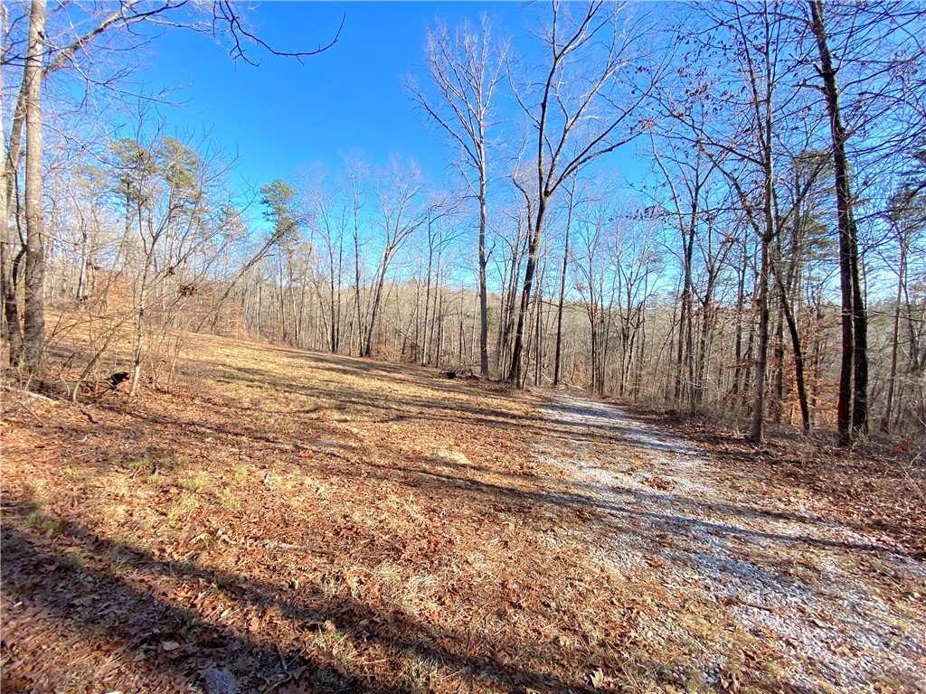 559 Jenkins Bridge Road Westminster, SC 29693 - Photo 3 of 24 Gallery Image 3