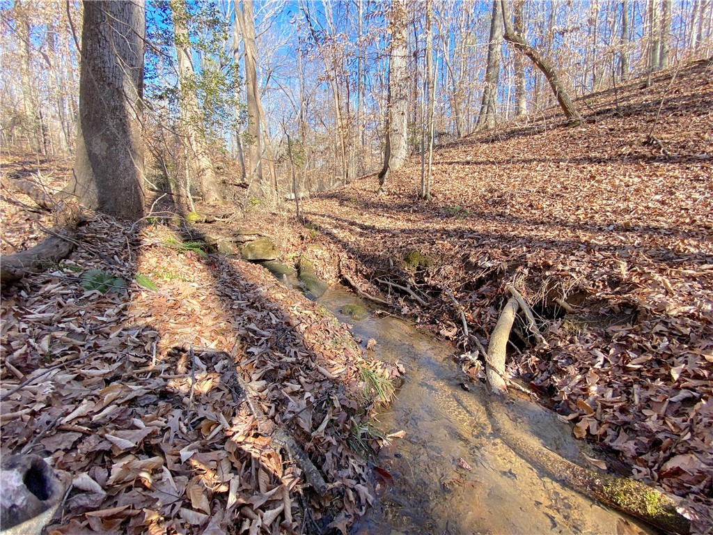 559 Jenkins Bridge Road Westminster, SC 29693 - Photo 5 of 24 Gallery Image 5