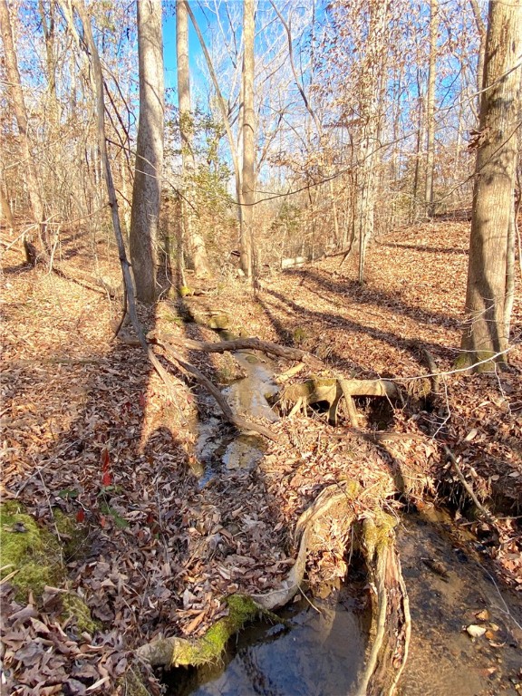 559 Jenkins Bridge Road Westminster, SC 29693 - Photo 7 of 24 Gallery Image 7