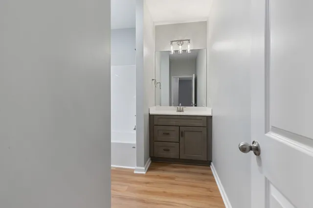 a bathroom with a sink and a mirror
