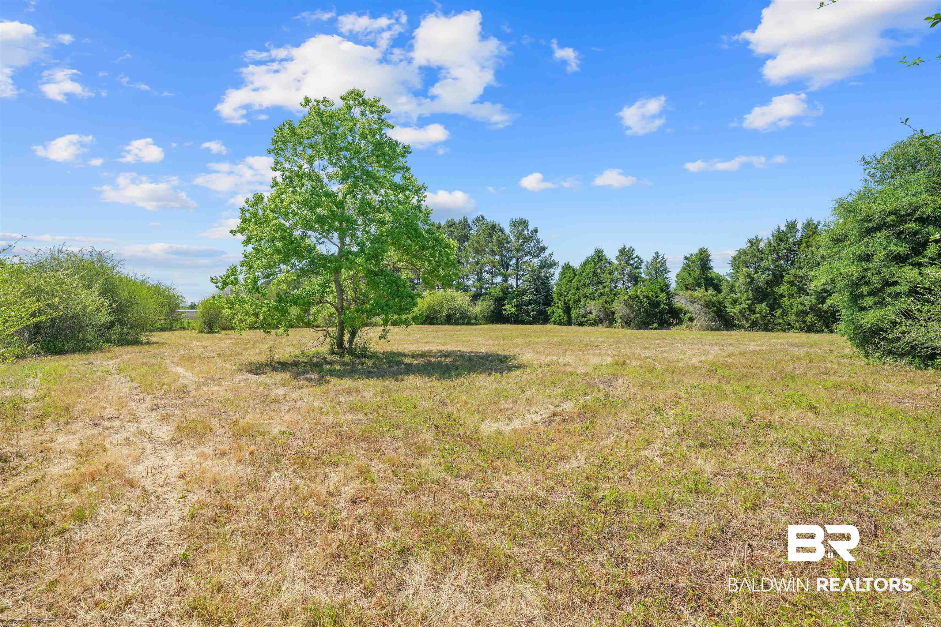 13733 White Road Silverhill, AL 36576 - Photo 15 of 26