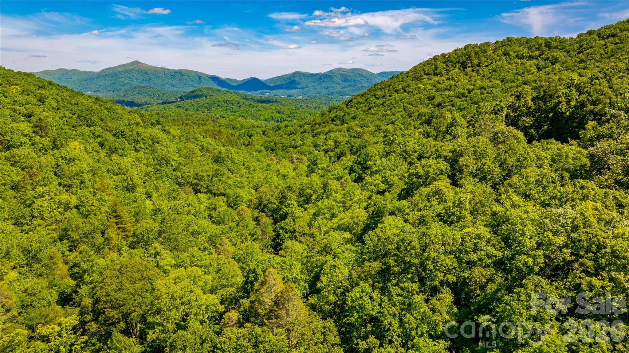 214 Ballard Creek Road Fairview, NC 28730 - Photo 16 of 18 a view of a green field with lots of bushes