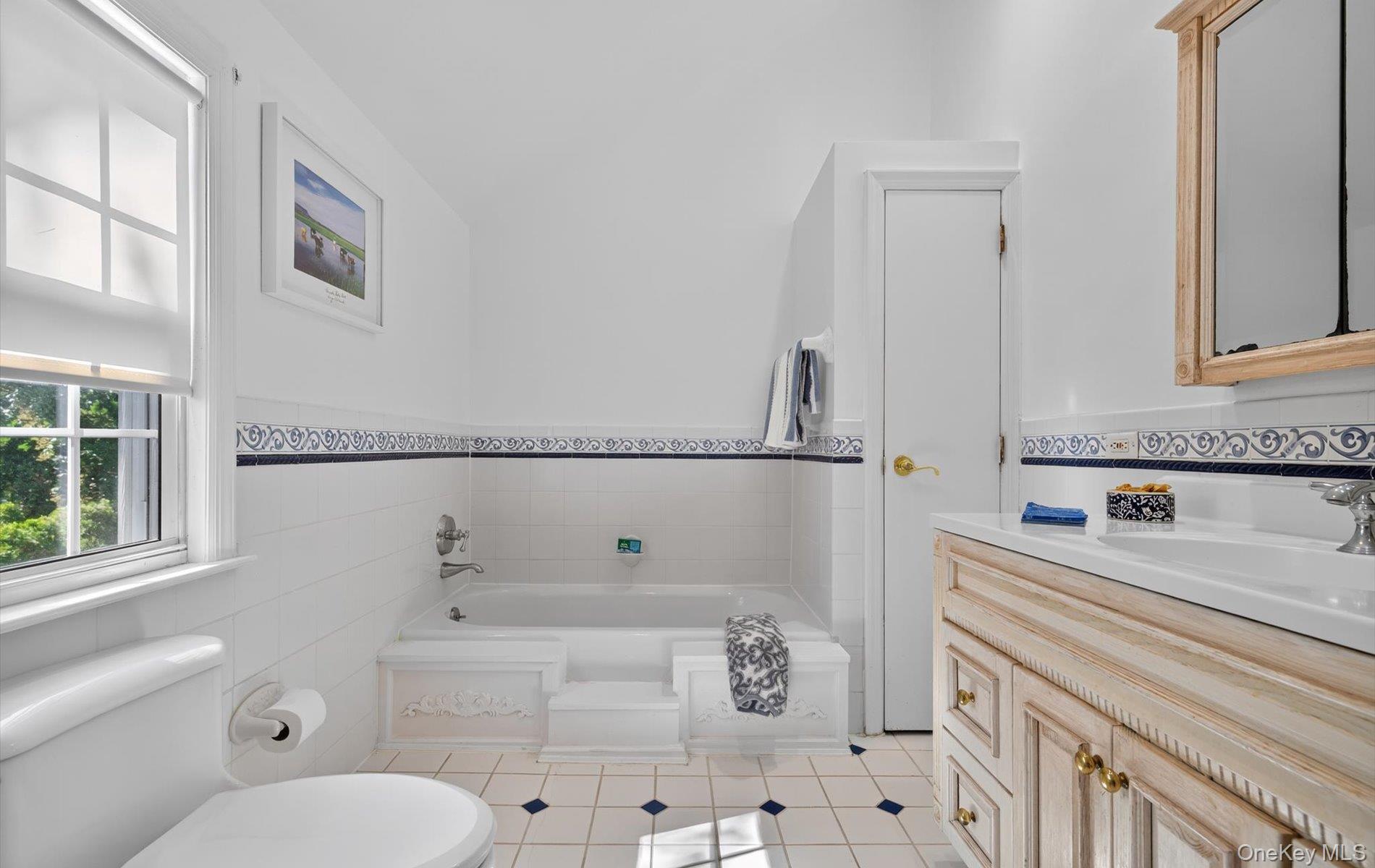 53 Eakins Road Manhasset, NY 11030 - Photo 29 of 34 a bathroom with a sink and a toilet