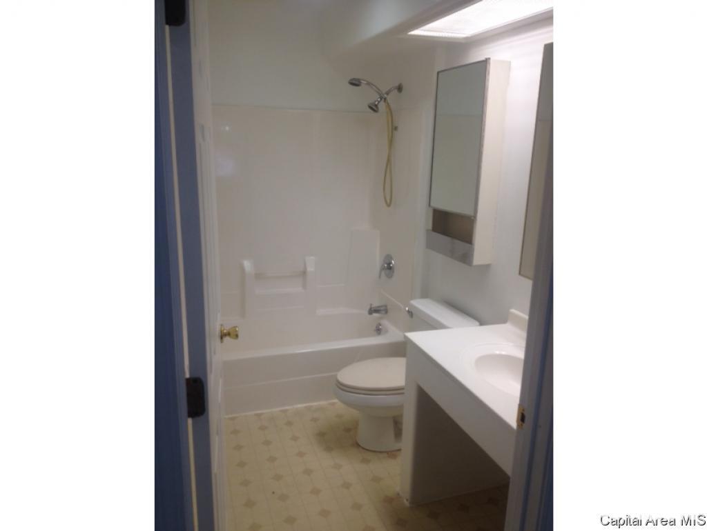 1219 East Pine Street Springfield, IL 62703 - Photo 12 of 14 Gallery Image 12