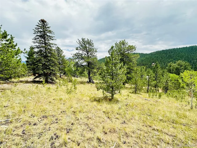 a bedroom with furniture and a couch