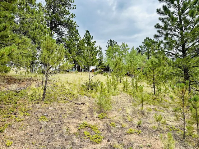 a bed room with furniture and a wooden floor