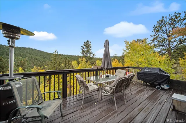 $255,000 | 229 McDougal Road, Bailey, CO 80421